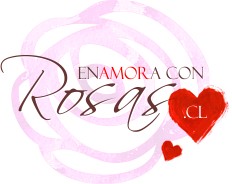 Enamora con Rosas .CL Flores a Domicilio, Floreria Santiago