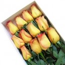 Flores a Domicilio - Fina Caja con 12 Rosas Bicolor Amarillo y Rojo Ecuatorianas 