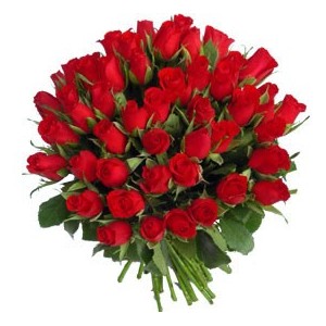 Ramo 50 Rosas Rojas Dia de los Enamorados